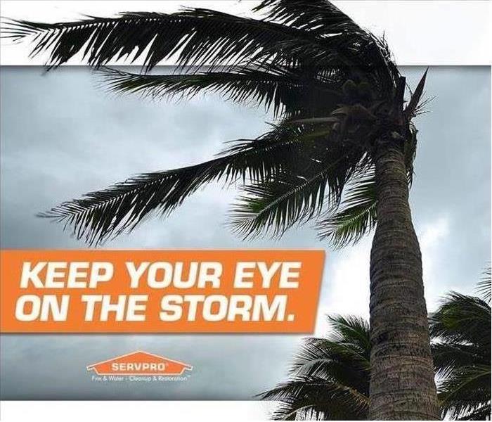 "Keep your eye on the storm text" with blowing palm tree