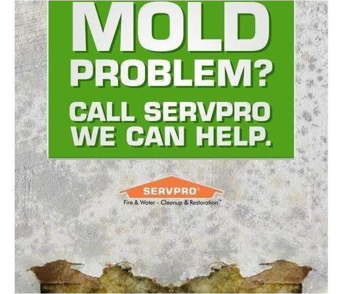 Mold Problem? We can help. Text with SERVPRO logo