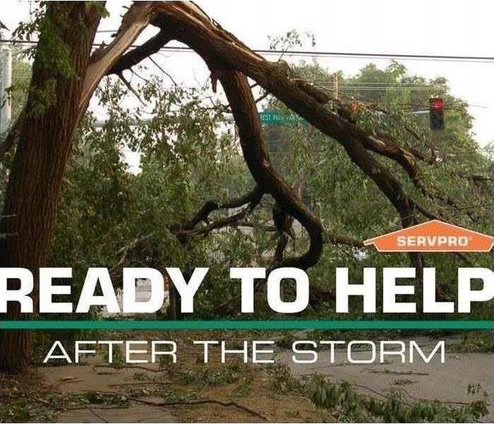 Storm Damaged Tree with SERVPRO logo and "Ready to help after the storm" text 